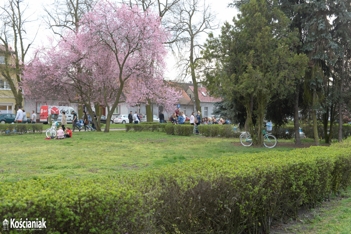 Foodtruckowy festiwal trwa
