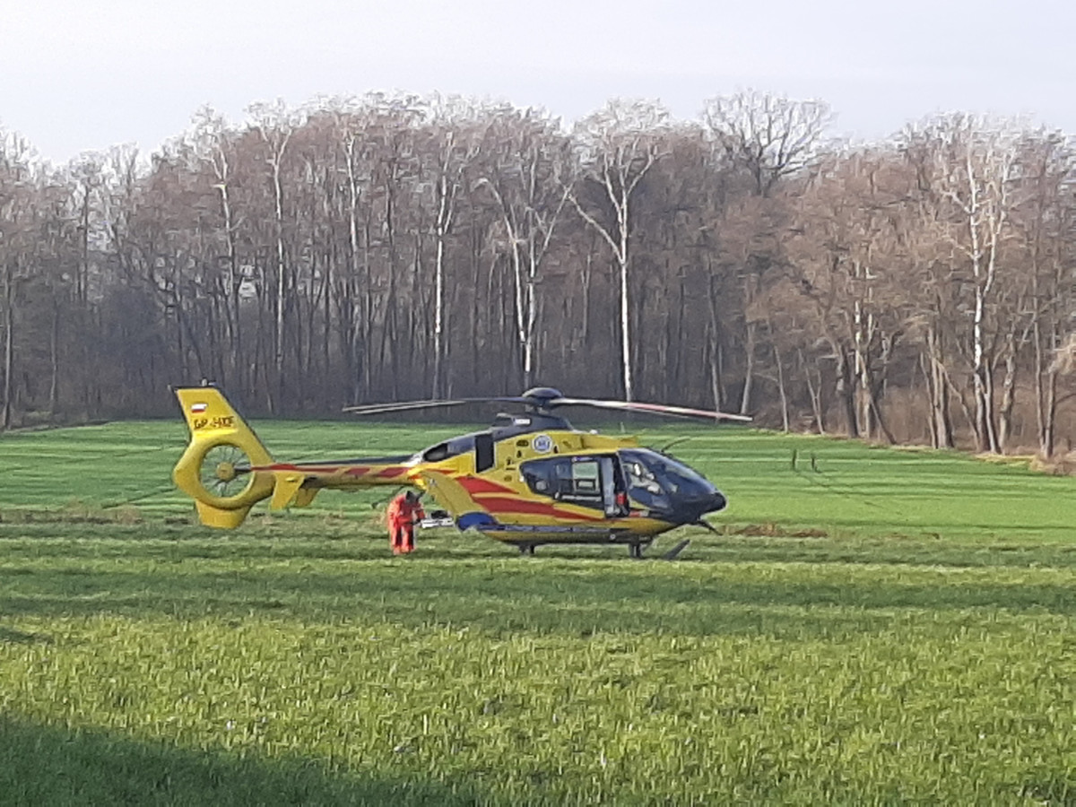 Pieszy potrącony na przejściu w Jarogniewicach