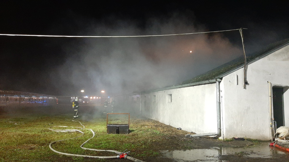 Pożar fermy indyków w Piotrowie Pierwszym