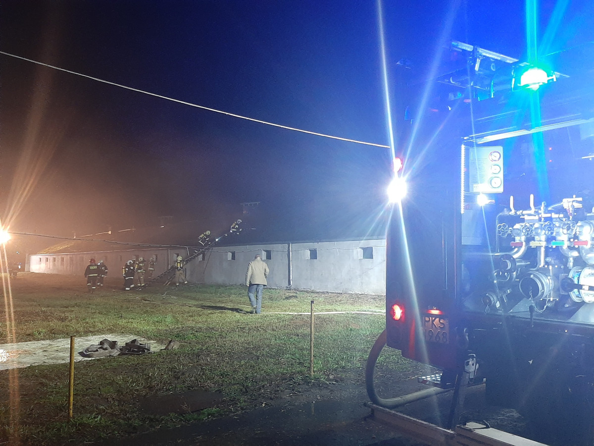 Pożar fermy indyków w Piotrowie Pierwszym