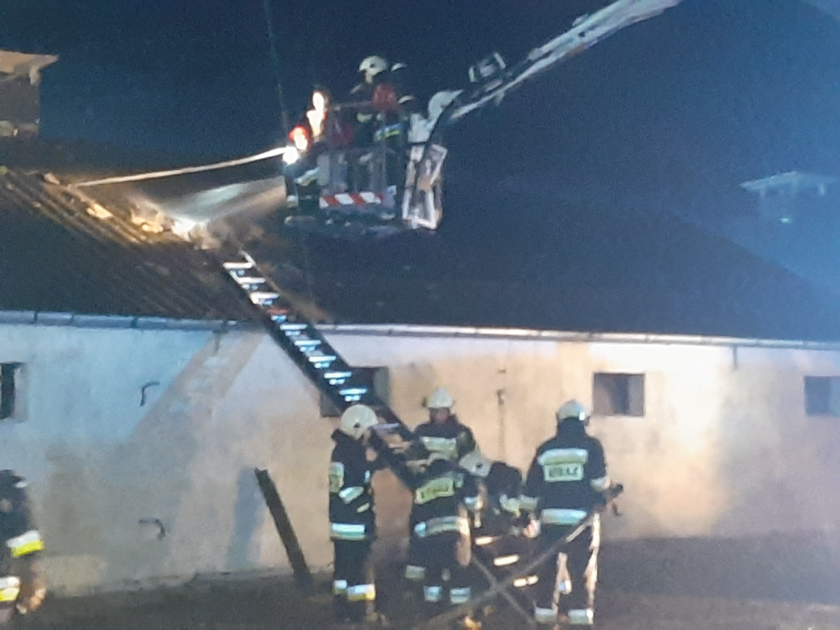Pożar fermy indyków w Piotrowie Pierwszym