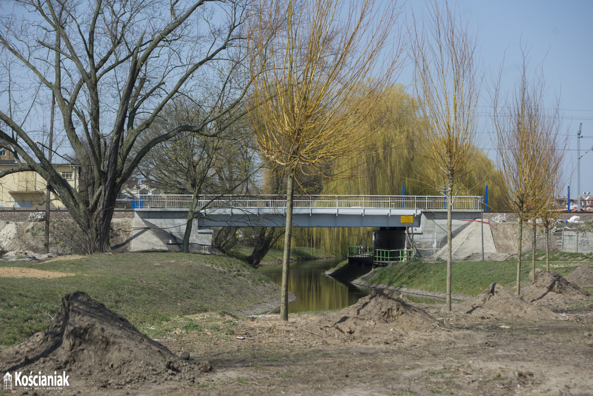 Sadzą drzewa na Łazienkach [ZDJĘCIA]
