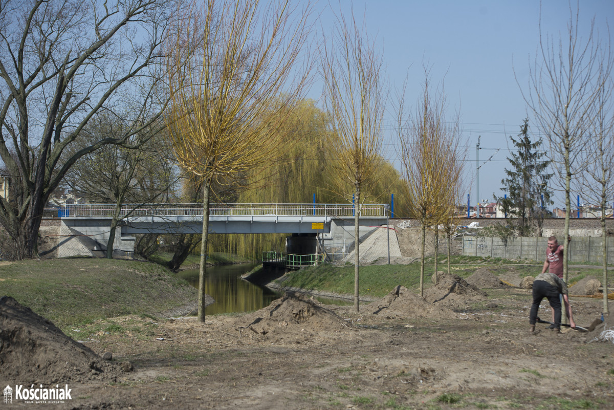 Sadzą drzewa na Łazienkach [ZDJĘCIA]