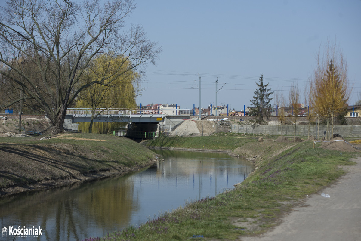 Sadzą drzewa na Łazienkach [ZDJĘCIA]