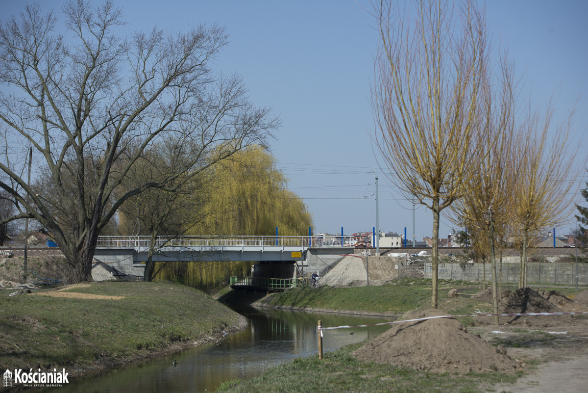 Sadzą drzewa na Łazienkach [ZDJĘCIA]