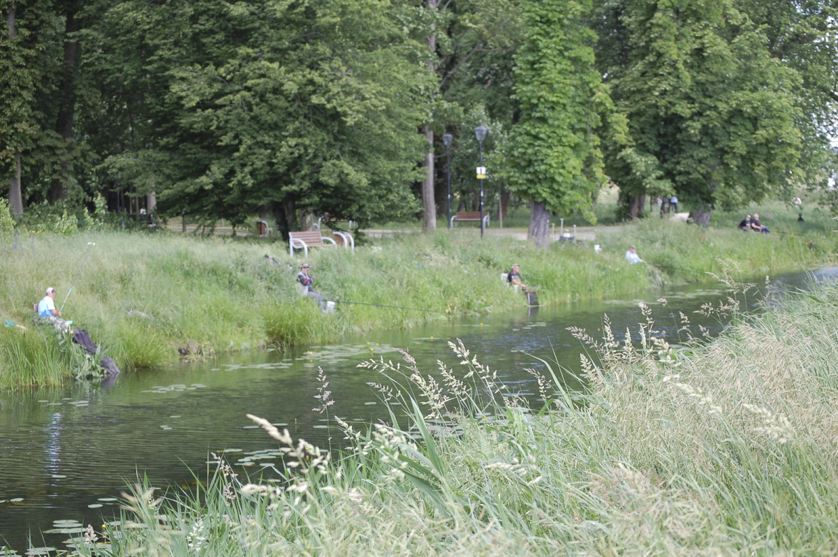 Pierwsze w tym roku zawody wędkarskie w Kościanie [ZDJĘCIA]