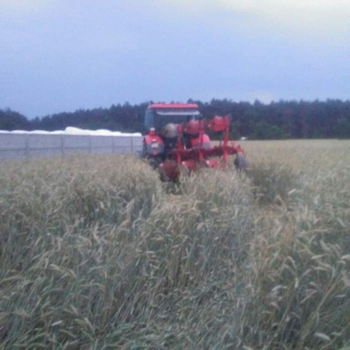 Paliło się sto balotów z sianem
