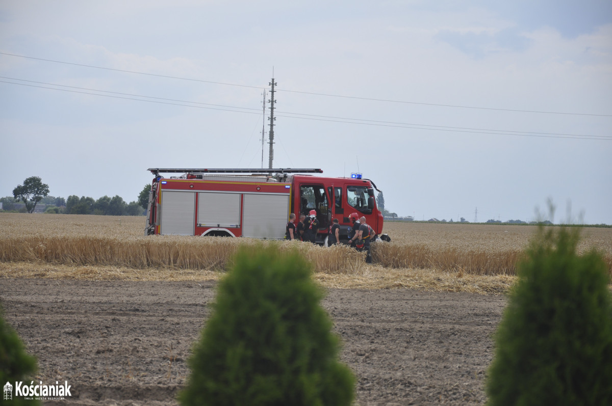 Pożar zboża na pniu