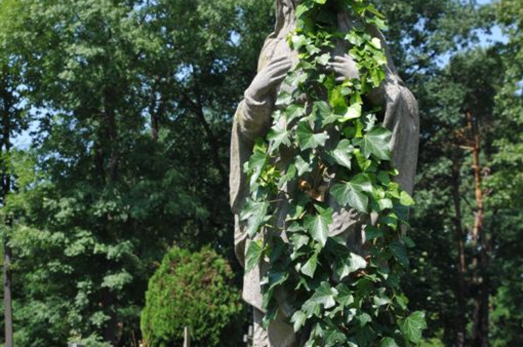 Kościańskie cmentarze na zdjęciach