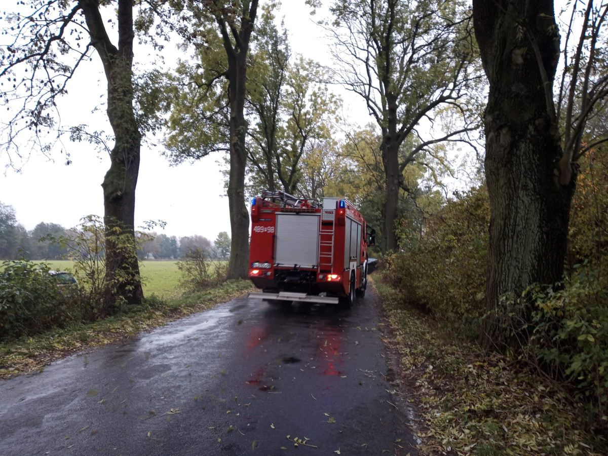 Uderzył w drzewo. Trzy osoby trafiły do szpitala
