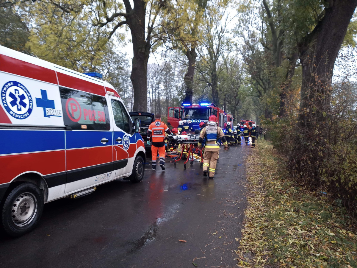 Uderzył w drzewo. Trzy osoby trafiły do szpitala