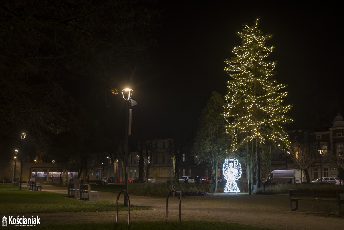 Świątecznie oświetlona choinka na Placu Wolności [ZDJĘCIA]