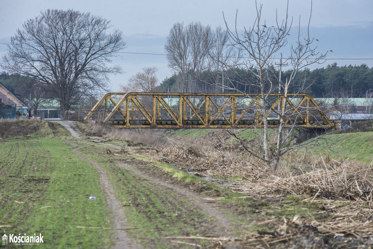 Wycinają trzciny i drzewa przy kanale Obry [ZDJĘCIA]