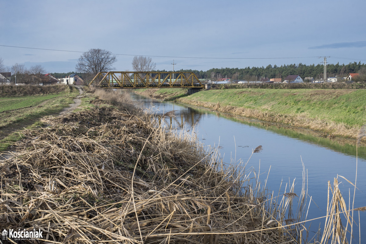 Wycinają trzciny i drzewa przy kanale Obry [ZDJĘCIA]