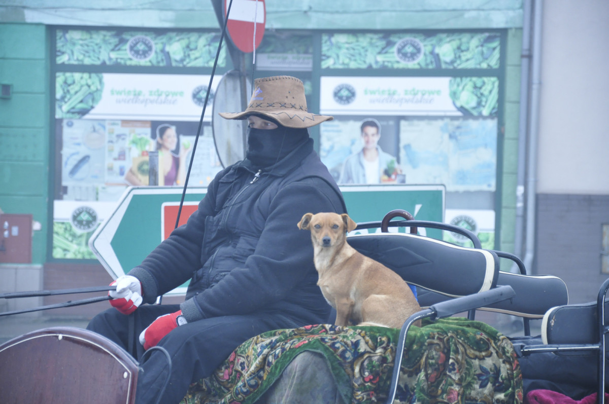 Przejazd bryczki przez gminę Śmigiel w Trzech Króli [ZDJĘCIA]