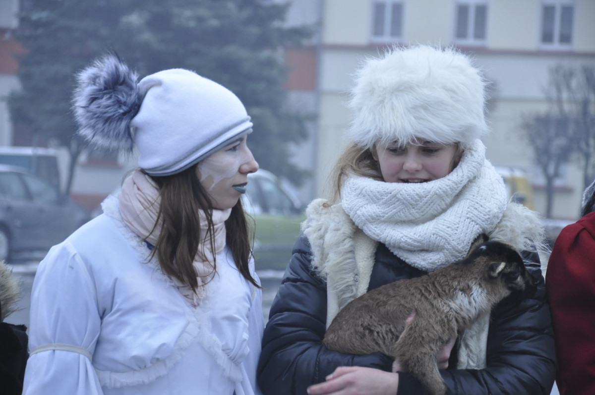 Przejazd bryczki przez gminę Śmigiel w Trzech Króli [ZDJĘCIA]