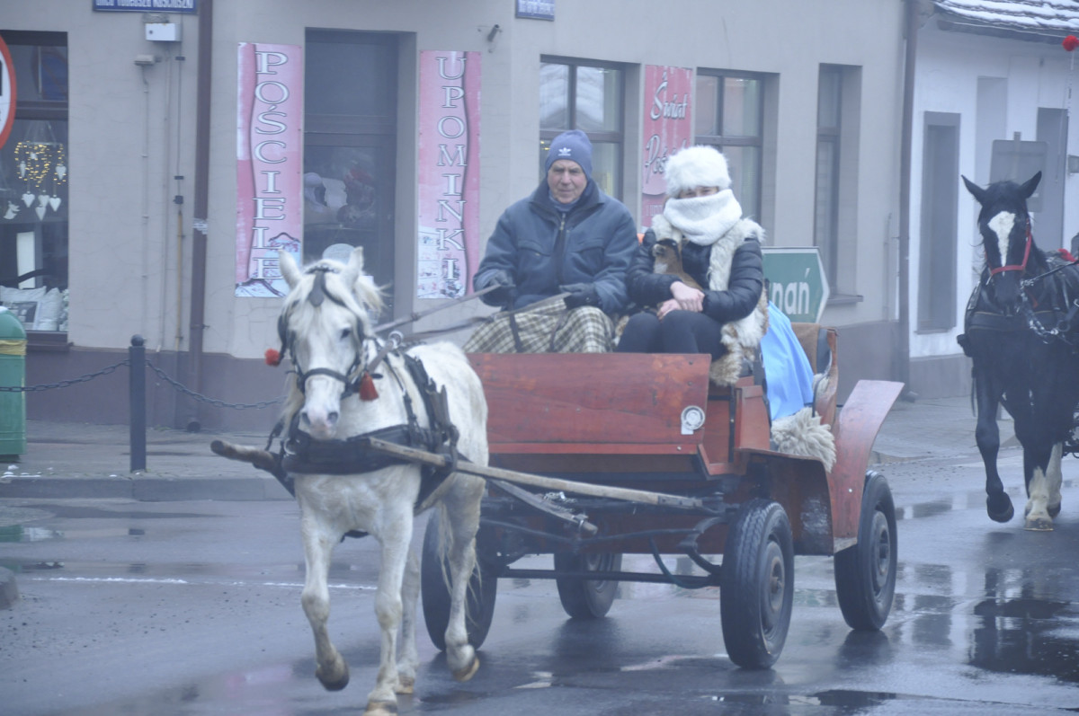 Przejazd bryczki przez gminę Śmigiel w Trzech Króli [ZDJĘCIA]