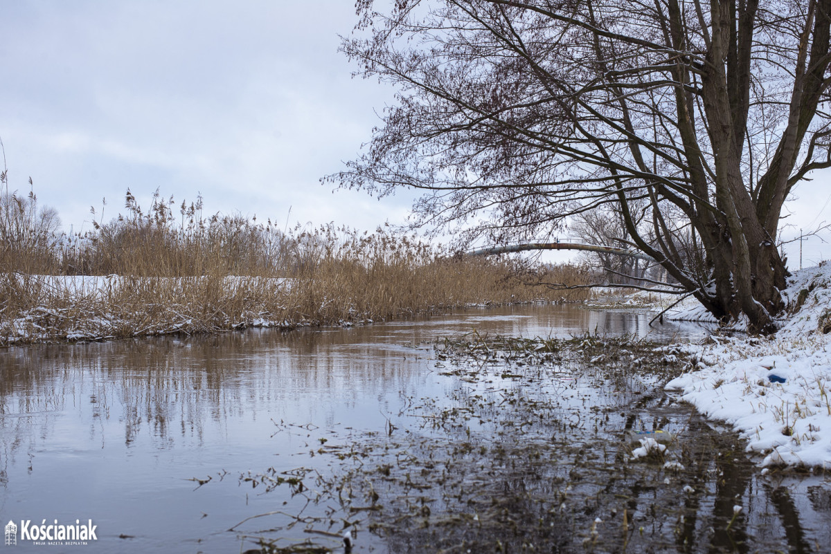 Zima nad Obrą [ZDJĘCIA]