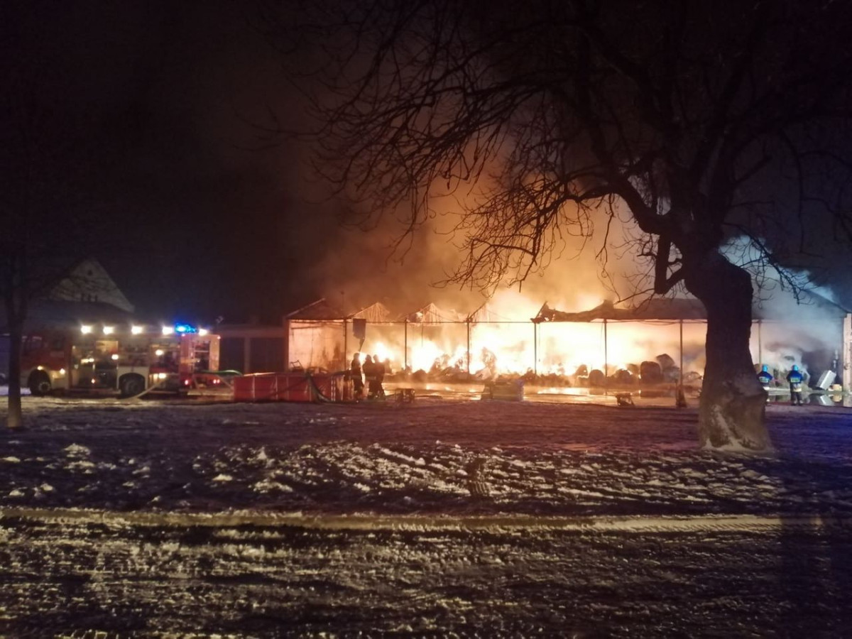 Nocny pożar w stadninie koni [ZDJĘCIA]