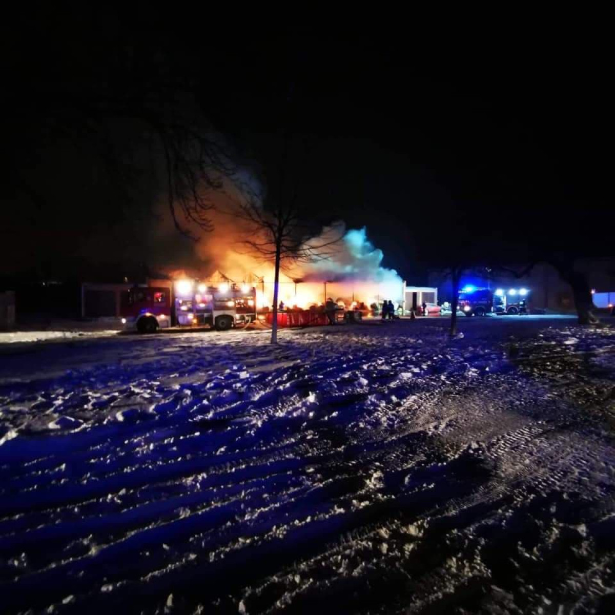 Nocny pożar w stadninie koni [ZDJĘCIA]