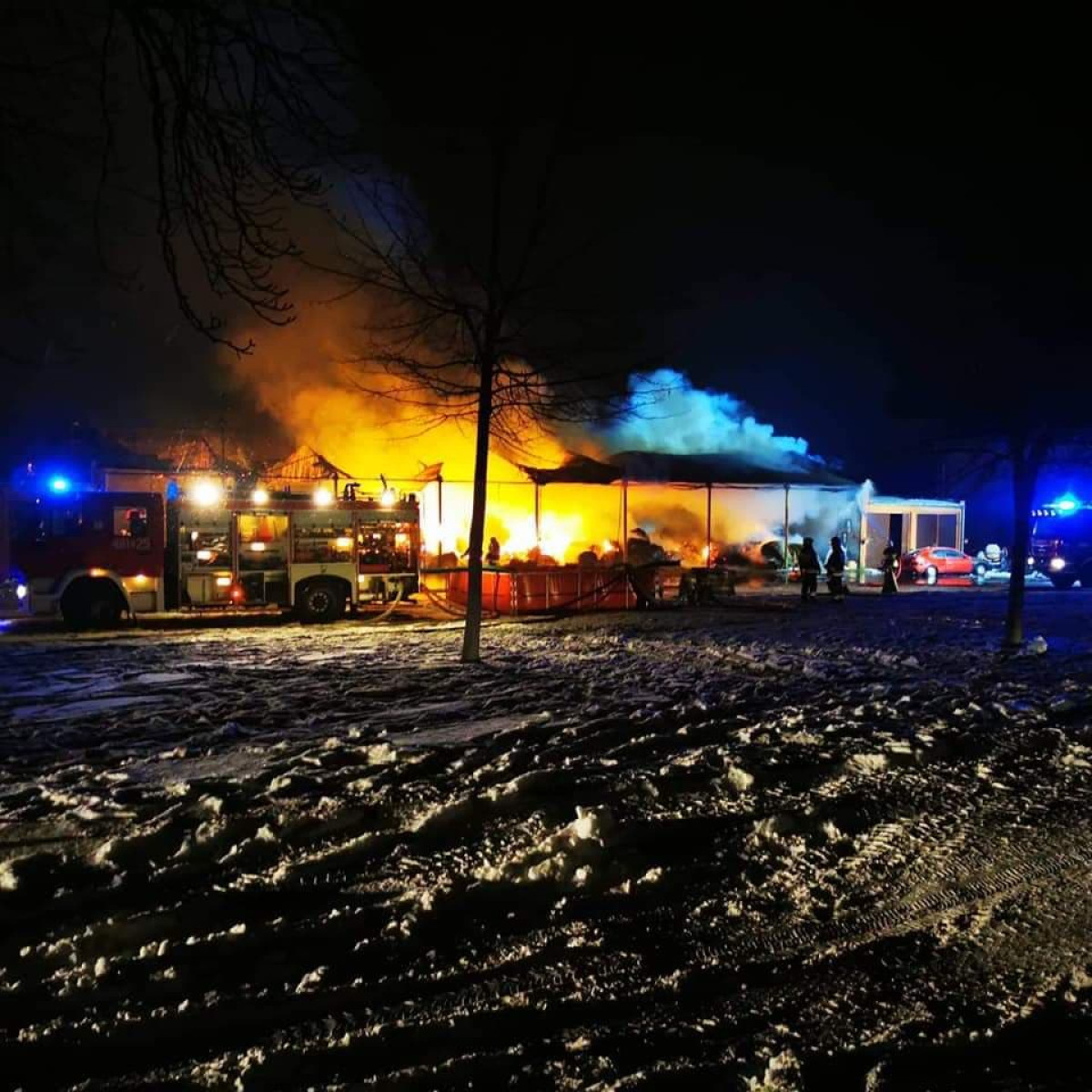 Nocny pożar w stadninie koni [ZDJĘCIA]