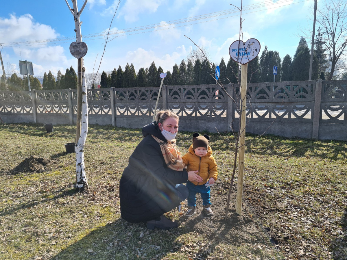 Akcja 