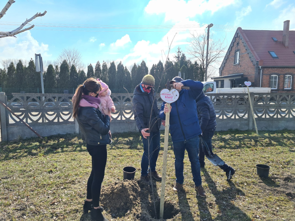 Akcja 