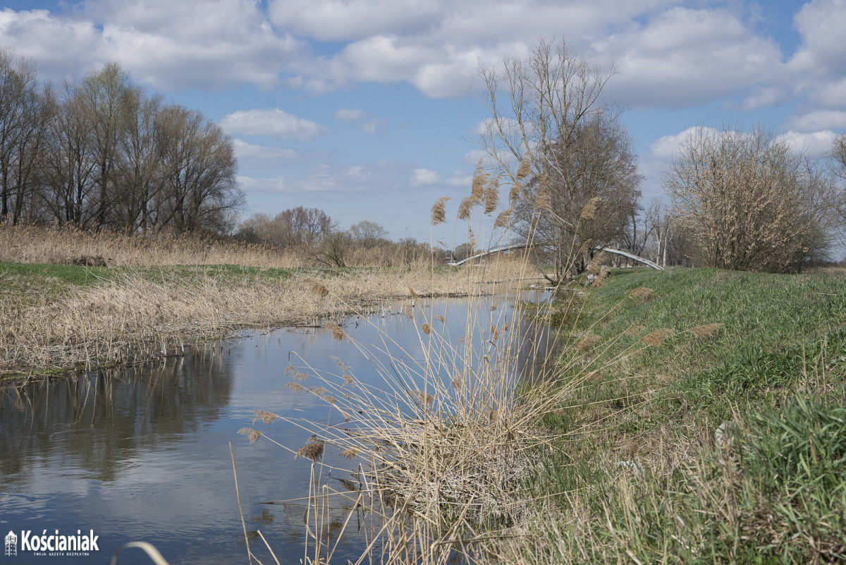 Kanał Obry po zimie [ZDJĘCIA]