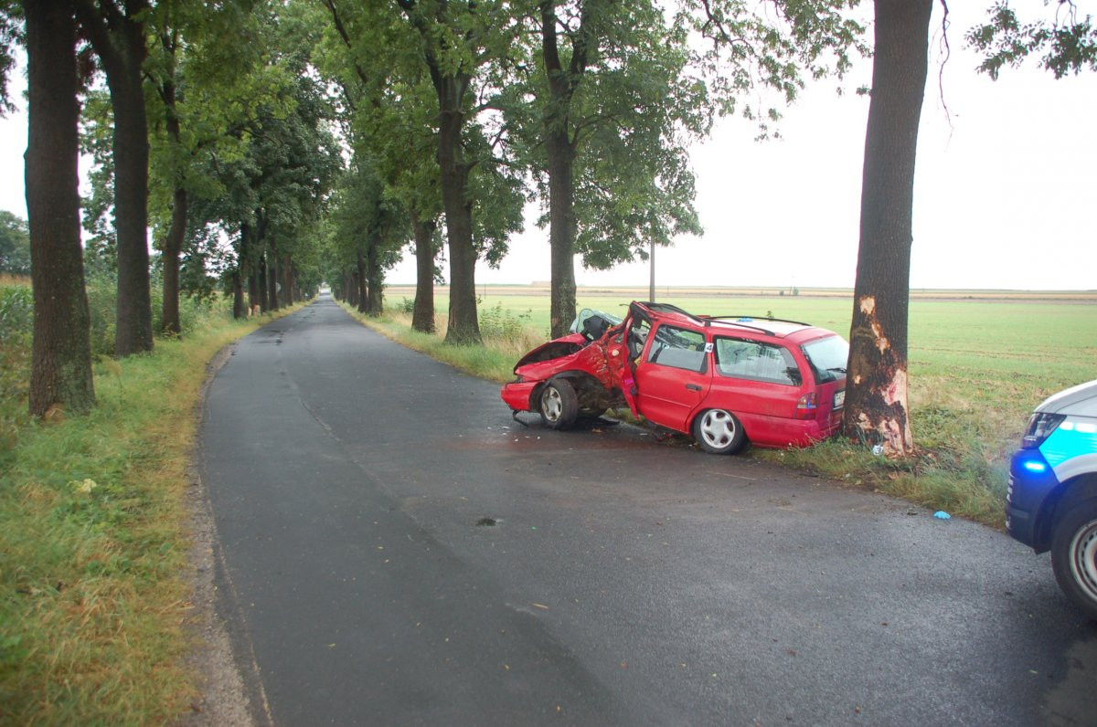 Wjechał w drzewo. Prowadził mimo zakazu i z narkotykami