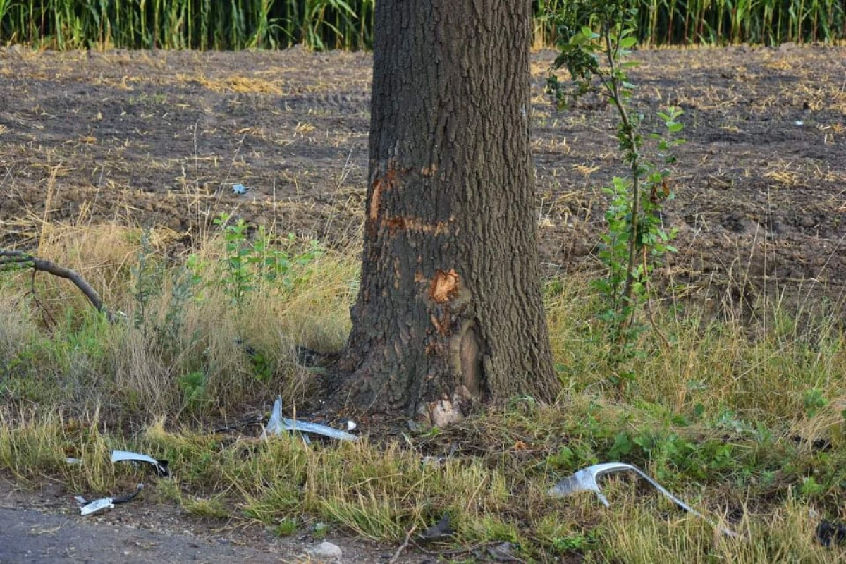 Śmiertelny wypadek. Zginął 23-letni kierowca [ZDJĘCIA]