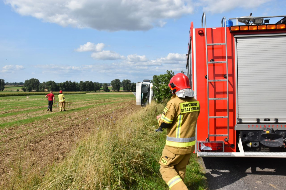 Ciężarówka transportująca świnie wpadła do rowu [ZDJĘCIA]