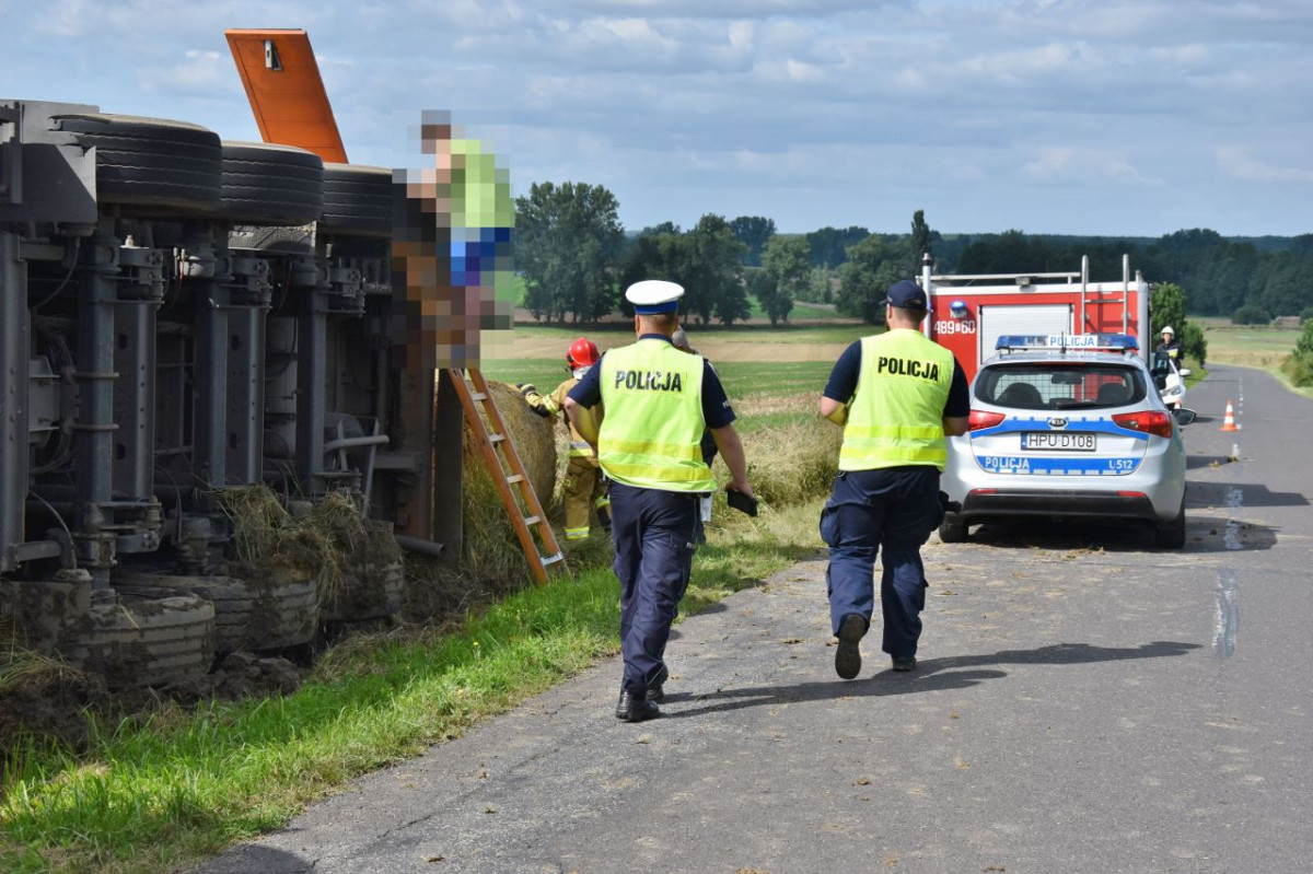 Ciężarówka transportująca świnie wpadła do rowu [ZDJĘCIA]