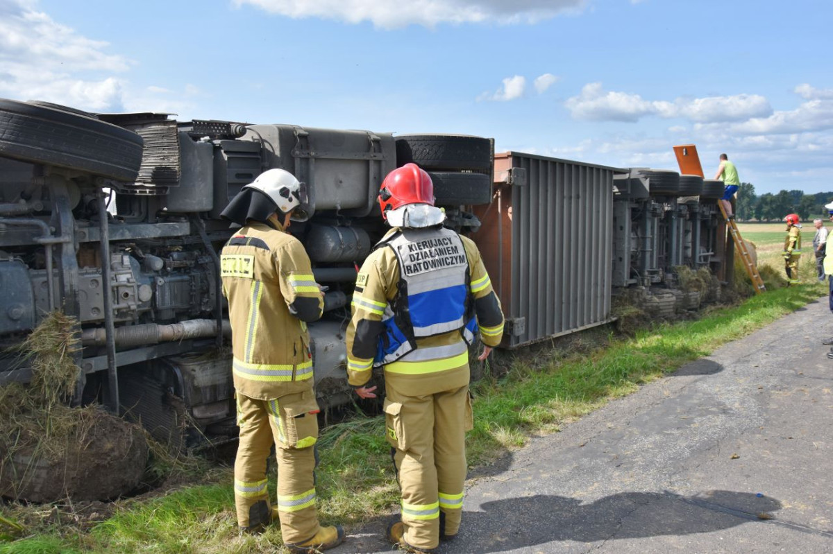 Ciężarówka transportująca świnie wpadła do rowu [ZDJĘCIA]