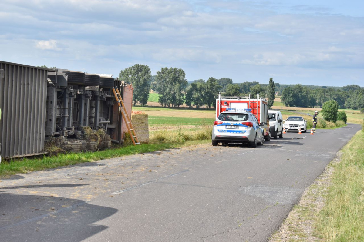 Ciężarówka transportująca świnie wpadła do rowu [ZDJĘCIA]