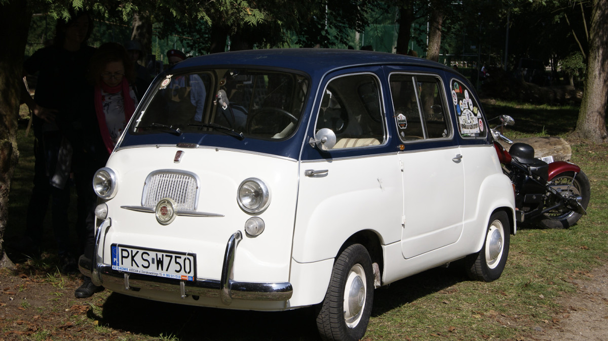 Piknik Historyczny w Wilkowie Polskim [ZDJĘCIA]