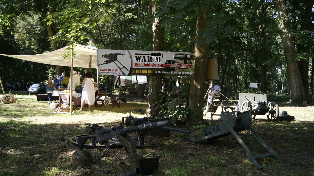 Piknik Historyczny w Wilkowie Polskim [ZDJĘCIA]