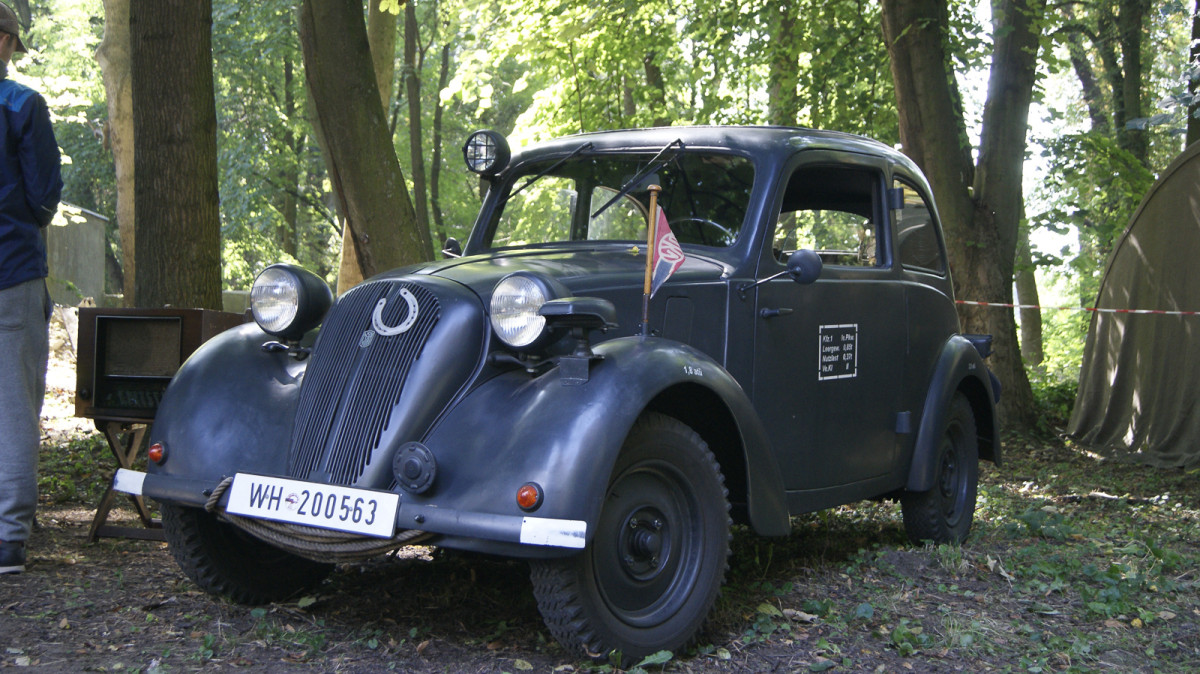 Piknik Historyczny w Wilkowie Polskim [ZDJĘCIA]