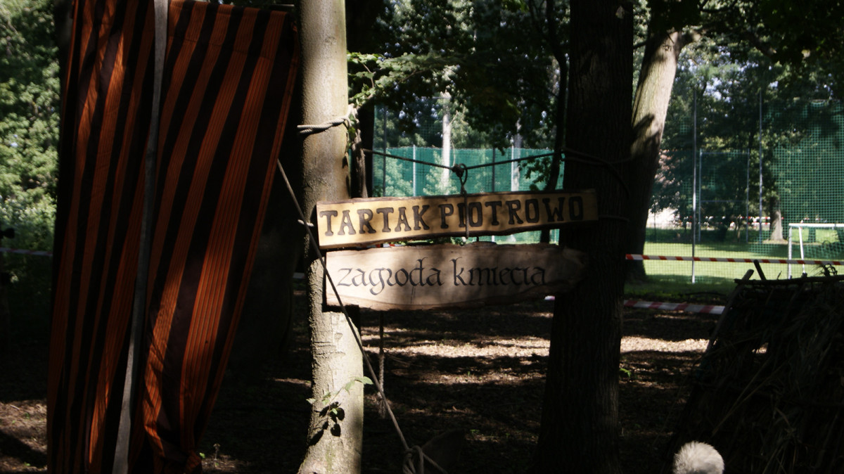 Piknik Historyczny w Wilkowie Polskim [ZDJĘCIA]