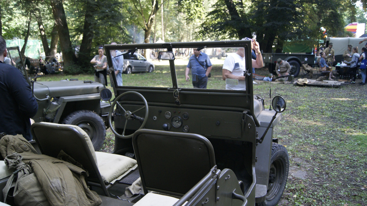 Piknik Historyczny w Wilkowie Polskim [ZDJĘCIA]