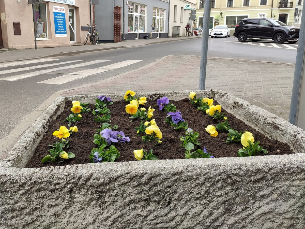 Wiosennie i świątecznie w Kościanie [ZDJĘCIA]