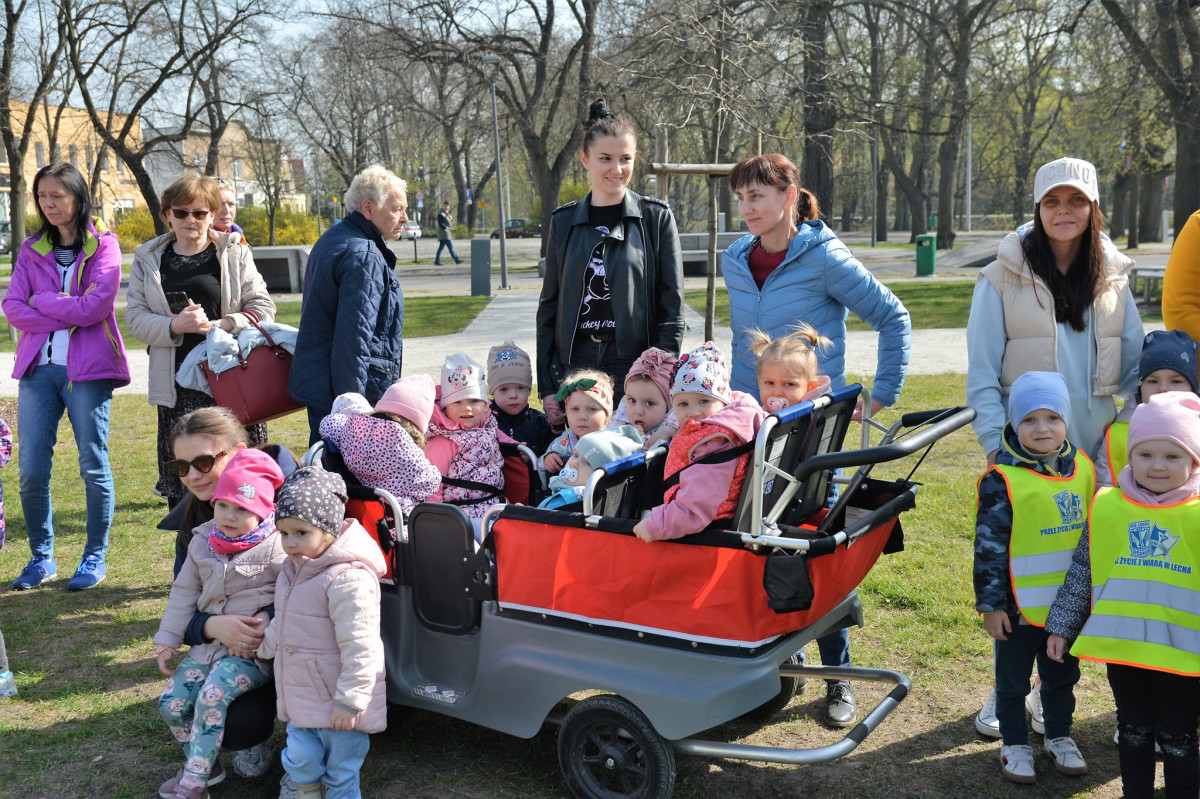 Zajączek w mieście, gminie i powiecie [ZDJĘCIA]