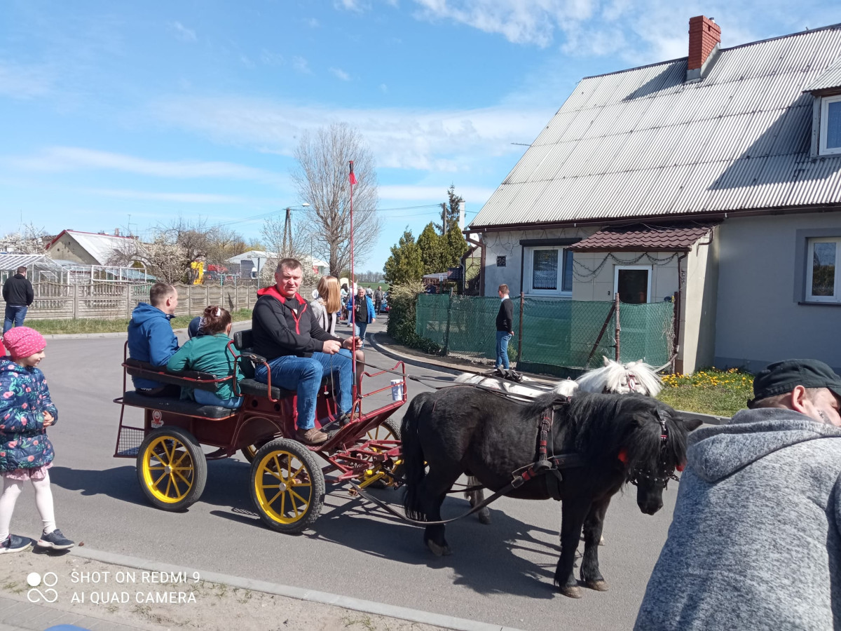 Siwki wielkanocne w Borowie [ZDJĘCIA]