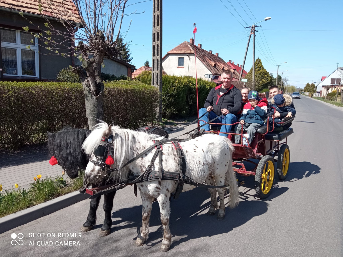 Siwki wielkanocne w Borowie [ZDJĘCIA]