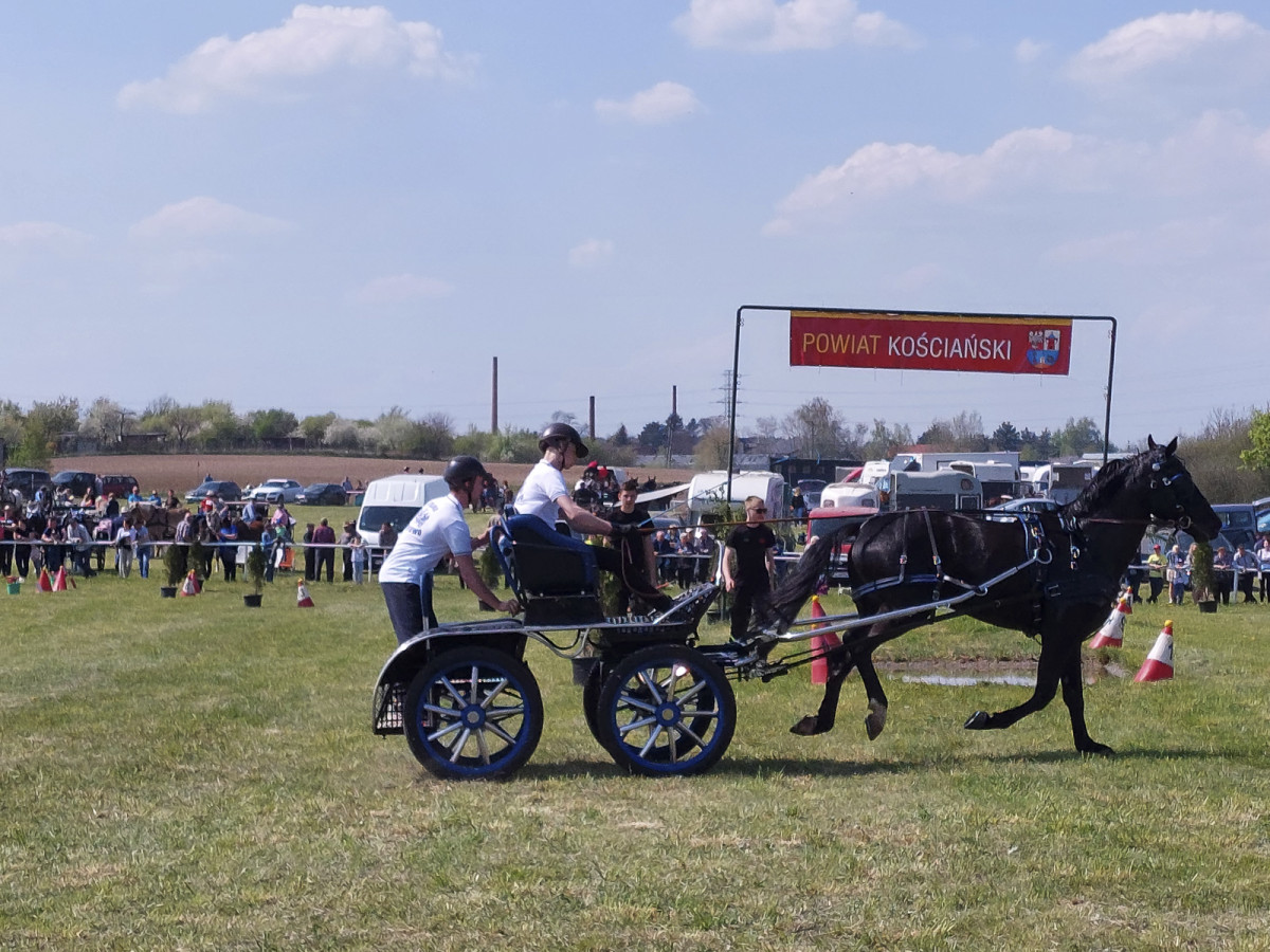 XVII Włościańskie Zawody w Powożeniu Zaprzęgami [ZDJĘCIA]