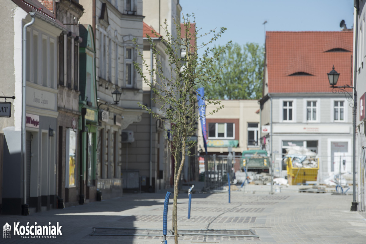 Postępy prac na Rynku i Wrocławskiej. Pojawiły się drzewa [ZDJĘCIA]