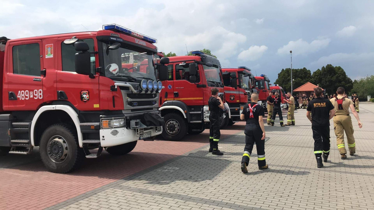 Strażacy ćwiczyli akcję w lesie [ZDJĘCIA]