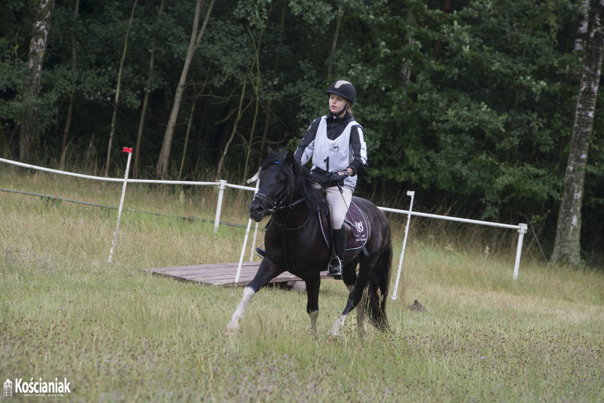 Zawody koni huculskich w Racocie [ZDJĘCIA]