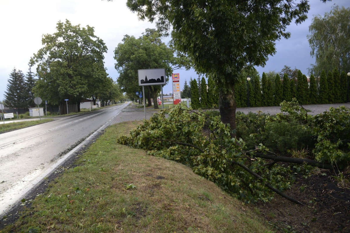17 wezwań strażaków w związku z gwałtowną ulewą [ZDJĘCIA]