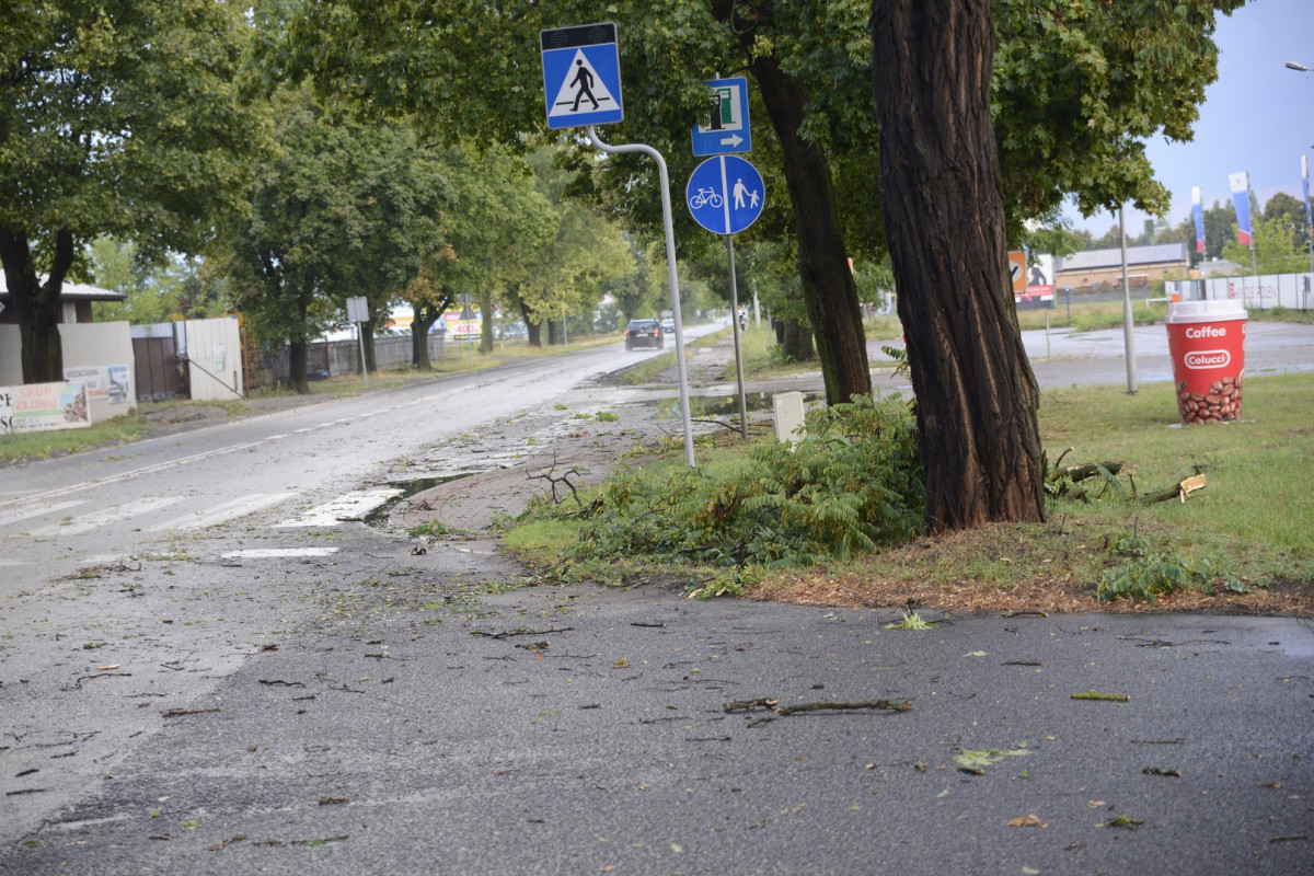 17 wezwań strażaków w związku z gwałtowną ulewą [ZDJĘCIA]