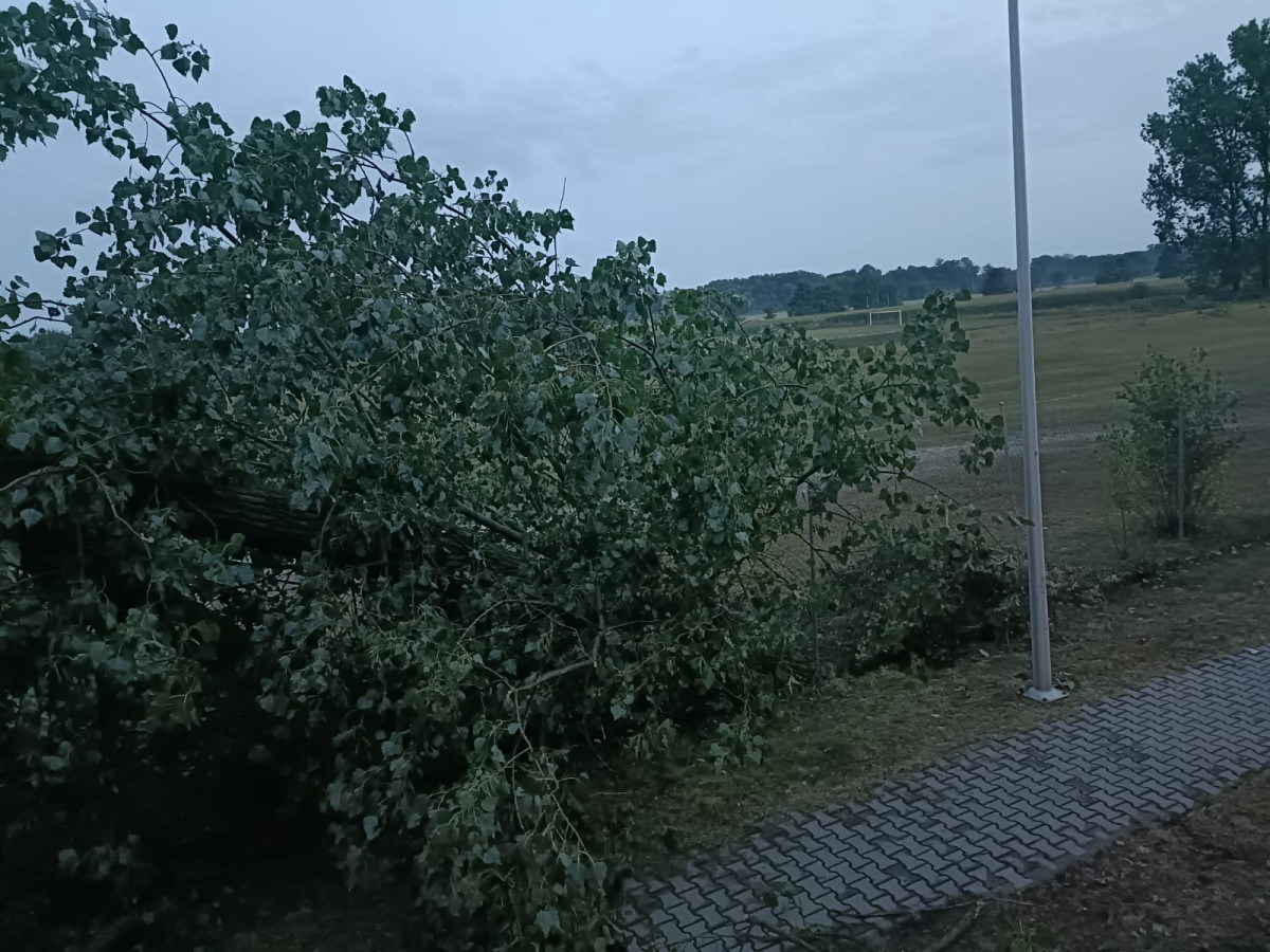 17 wezwań strażaków w związku z gwałtowną ulewą [ZDJĘCIA]